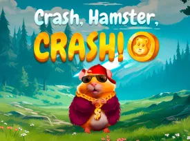 Crash Hamster