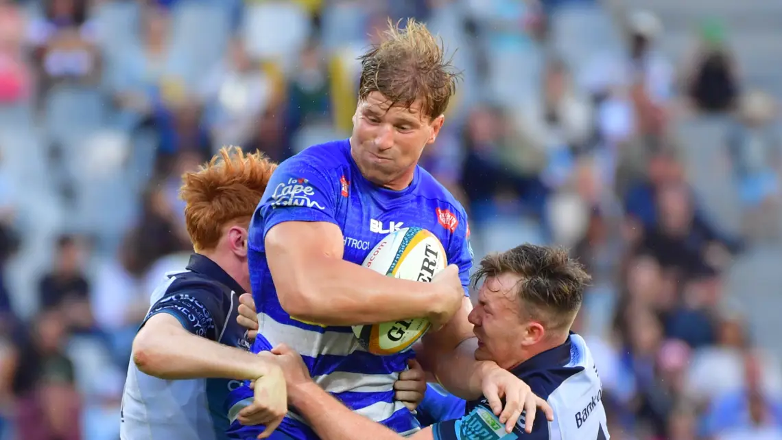 Evan Roos called up to Springbok squad after Hanekom injury