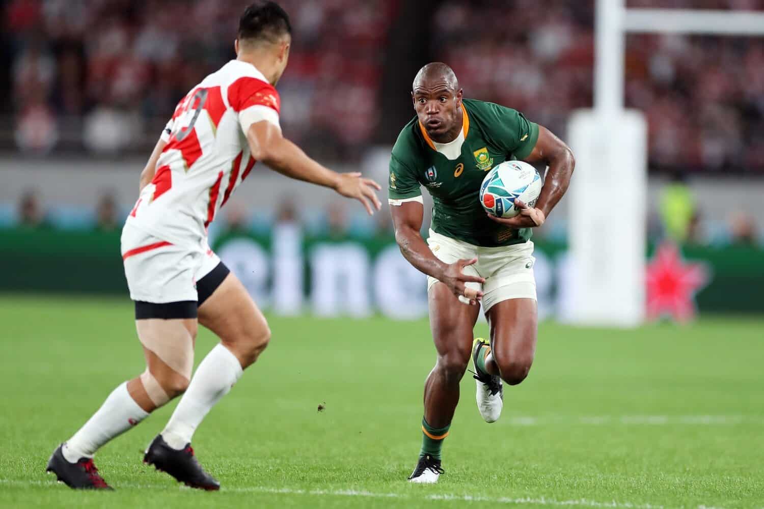 Springboks vs Japan Wembley test confirmed for November