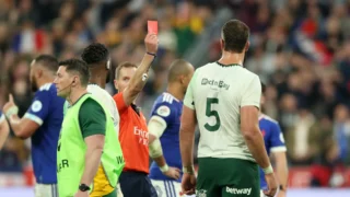 Springboks red card controversy and the road to Dublin